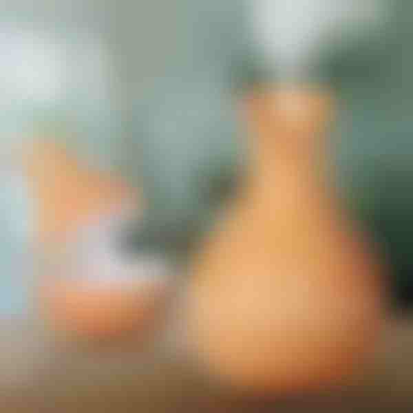 Koka mitrinātājs | HUMISTER