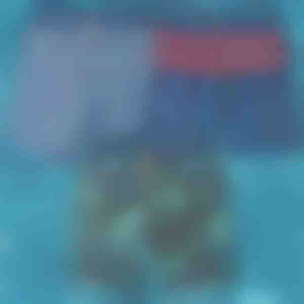 Ātri žūstošas peldbikses | TOGGIES