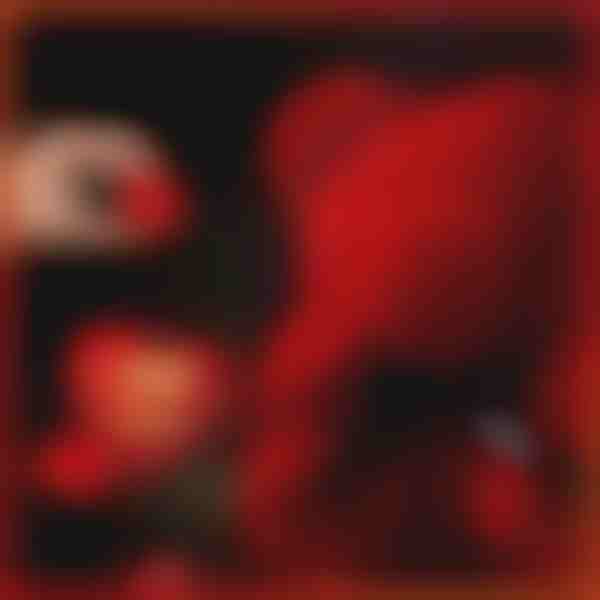 Mīlestības vēstnesis | LOVEBEAR