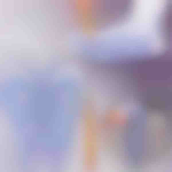 Aktivizējiet veselības punktus – refleksoloģijas zeķes ikdienas masāžai | FEETRA